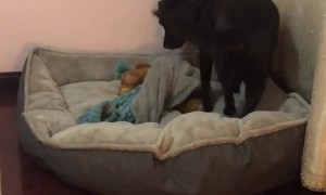 Gotta Squeeze In That Nightly Routine