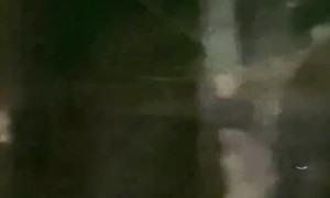 Owl Tries to Grab Parrot Through Window