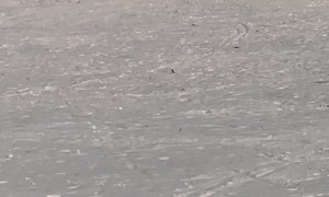Skier Takes A Spill