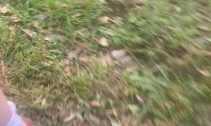 Most People Don't Enjoy Bugs On Their Legs