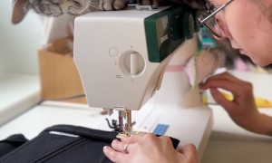 Cat Supervises Sewing