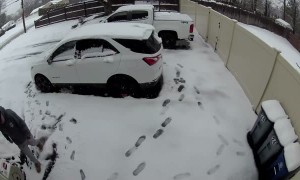 The Snow Was In The Dogs Favor