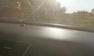 Horse Blocks Road And Gets Pushed Out Of The Way