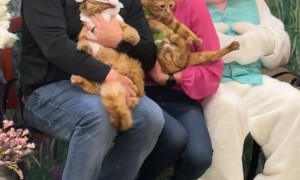 When Your Cats Are Your Children