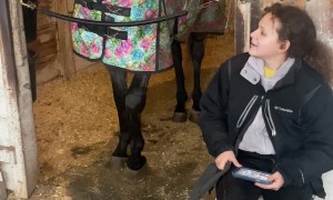 Happy Horse Kisses Girl