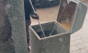 Momma Raccoon and Her Babies Rescued From Garbage Can