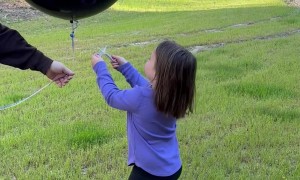 Gender Reveal Without the Reveal