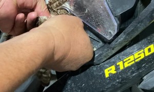Man Pries Injured Owl From Front of Motorcycle