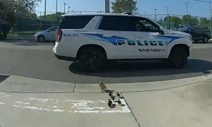 Florida police officer escorts family of ducks to safety
