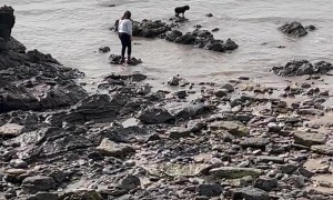 Woman Falls Into Water While Trying to Get Her Dog