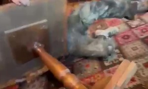 Table And Diner Tumble To The Floor