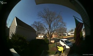 Worker Takes a Dramatic Tumble Down Steps