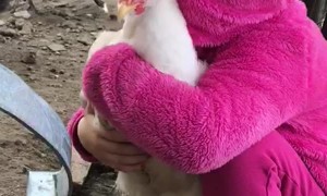 Patient Chicken Loves The Hugs