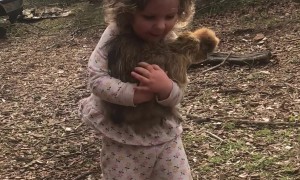 Girl Calms The Chickens