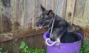 Even If It Barely Fits, I Sit