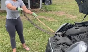Removing Snake from Under Hood of Car