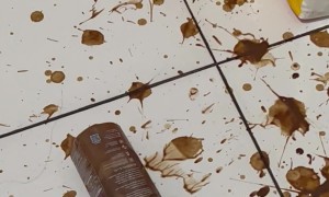 Aftermath of Cat Knocking Bottle onto Ground