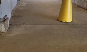 Stairs And Elevators And Terminals, Oh My!