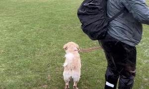 Sledding in The Springtime