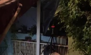 Senior Dog Gets Airlifted Home