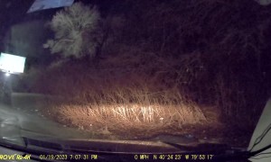 Car Flips In Car Crash