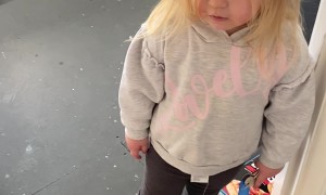 Dog Definitely Made Those Handprints