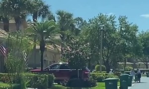 Why Did The Alligator Cross The Road?