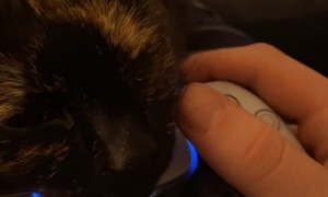 New Attachment For Video Game Controller