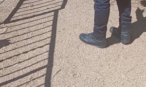 Policeman Escorts Duck Family to Safety