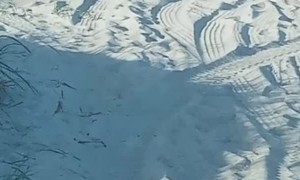 How to Get Run Over at the Beach