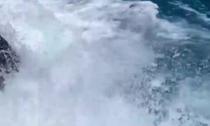 Wave Knocks Tourists Off Rocks in Hawaii