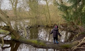 Boy's Tree Climbing Adventure Ends With a Splash