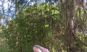 Baby Raccoons Saved When Tree Gets Cut Down