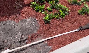 Clever Method for Placing an Irrigation Pipe