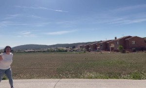 Dog Unintentionally Takes Stroller for a Ride