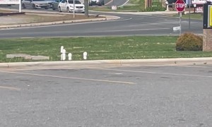 Police Chase Car Near Store Parking Lot
