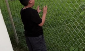 Boy Yells to Neighbor for His Ball