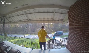 Dog Chases Amazon Driver