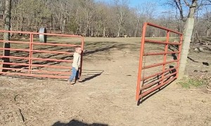 Double Swing Gates: Every Farm Kid's Worst Enemy