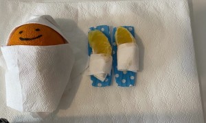 Giving an Orange a Vitamin C-Section