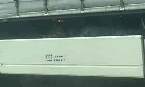 That's One Way To Hitch A Ride