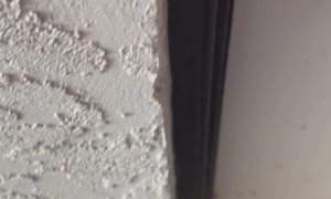 Checking Out The Damage After Hurricane Ian