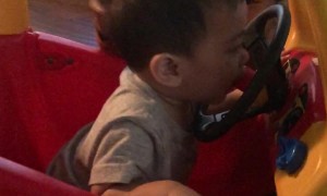 Toddler Honks Car Horn Using His Head