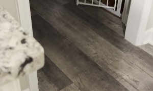 Evie The Scaredy Dog