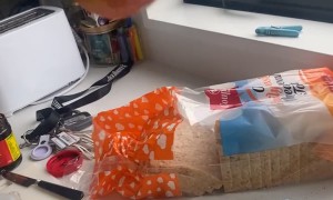 Bad Day Bring Groceries Home Gets Worse