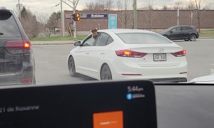 Since When Can Raccoons Drive?