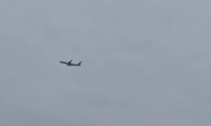 Airplane Suffers Engine Damage After Striking Bird