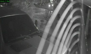 Security Camera Captures Spider Building Its Web