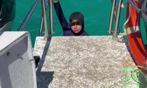 Baby shark tries to steal fish from little boy