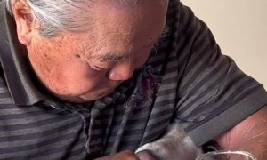 Chill dad secretly feeds dog at the table 